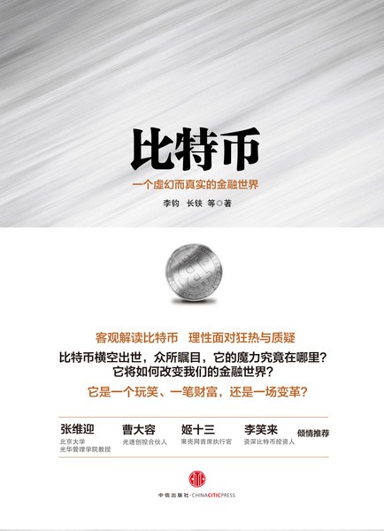 比特币:一个虚幻而真实的金融世界 原封面